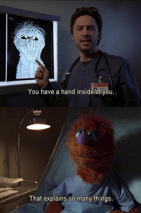  Scrubs was the most medically accurate show on television -   Misc