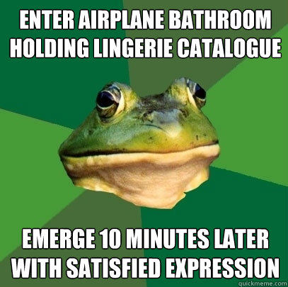enter airplane bathroom holding lingerie catalogue emerge 10 minutes later with satisfied expression  Foul Bachelor Frog