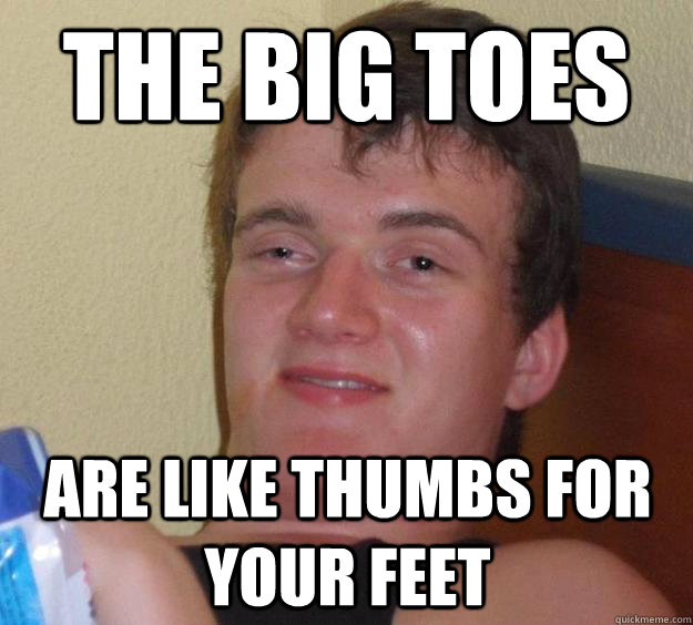 The big toes are like thumbs for your feet - The big toes are like thumbs for your feet  10 Guy