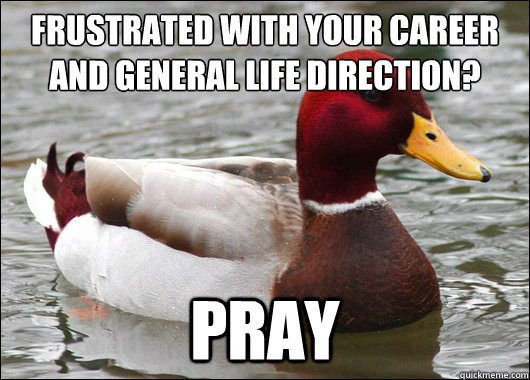 Frustrated with your career and general life direction?
 pray  Malicious Advice Mallard