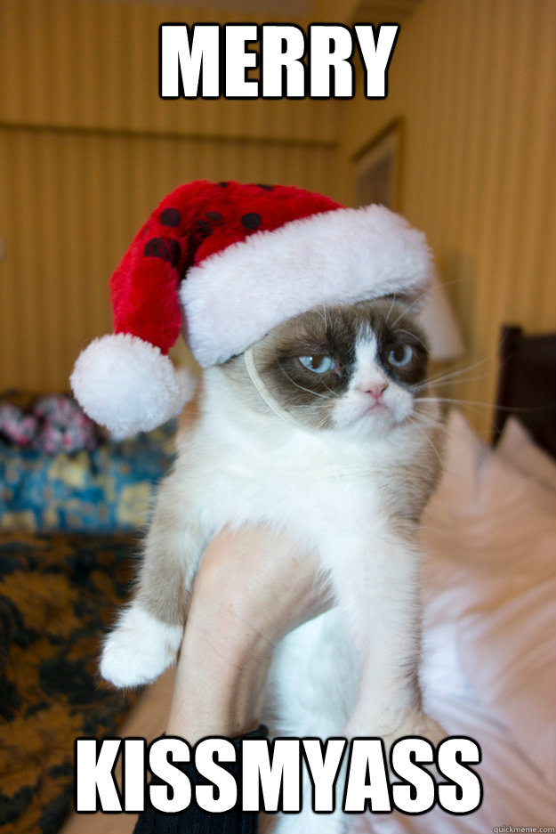 Merry Kissmyass  Grumpy xmas