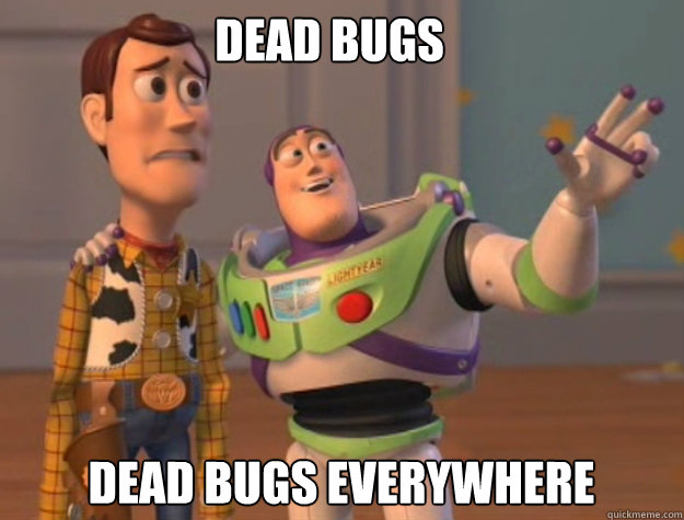 Dead bugs dead bugs everywhere  buzz