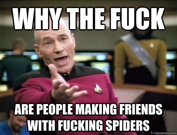 why the fuck are people making friends with fucking spiders  Annoyed Picard HD