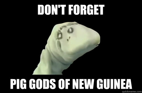 DON'T FORGET PIG GODS OF NEW GUINEA   