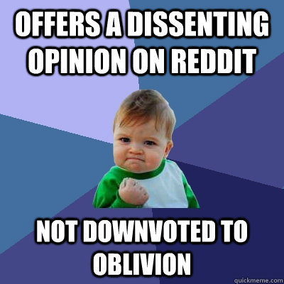 offers a dissenting opinion on reddit not downvoted to oblivion  Success Kid