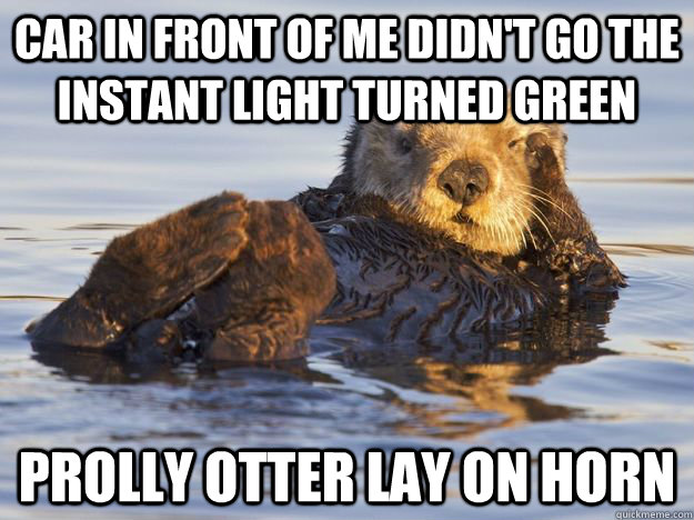 car in front of me didn't go the instant light turned green prolly otter lay on horn  