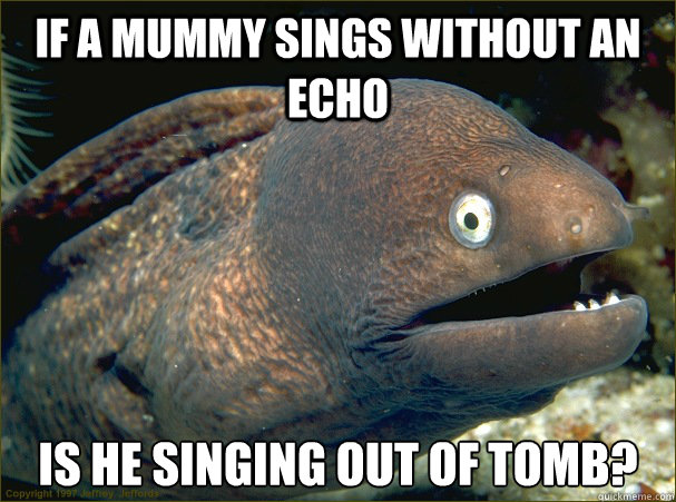 If a mummy sings without an echo is he singing out of tomb?
  Bad Joke Eel