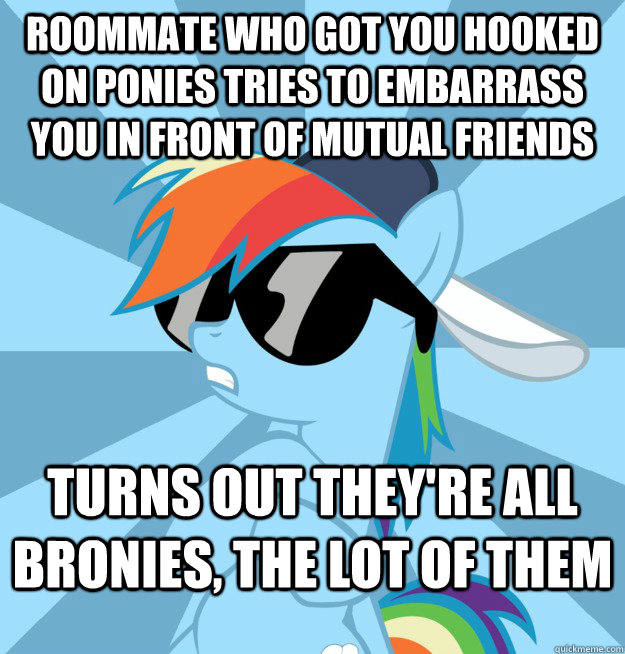 Roommate who got you hooked on ponies tries to embarrass you in front of mutual friends Turns out they're all bronies, the lot of them  Socially Awesome Brony