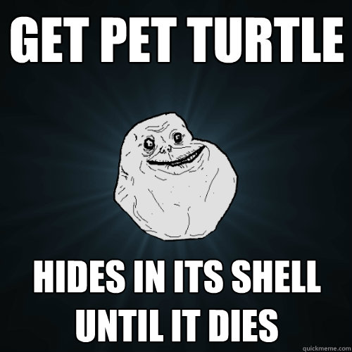 Get pet turtle Hides in its shell until it dies   Forever Alone