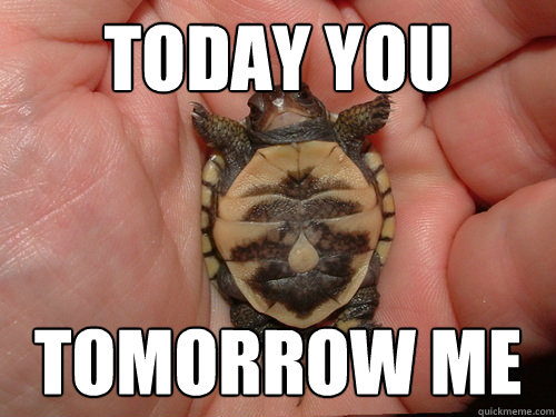 Today you tomorrow me - Today you tomorrow me  Random turtle