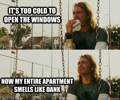 it's too cold to open the windows now my entire apartment smells like dank  First World Stoner Problems