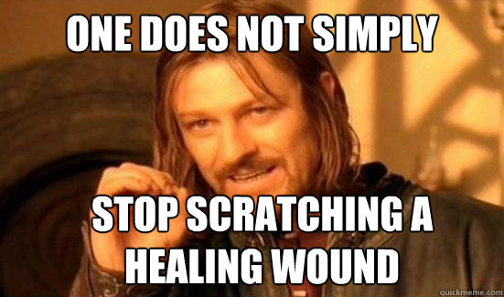 One Does Not Simply Stop scratching a 
healing wound  Boromir