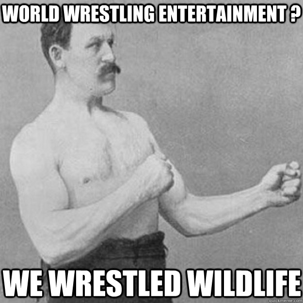 World Wrestling Entertainment ? We Wrestled wildlife  overly manly man