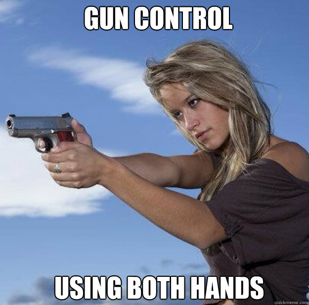 GUN CONTROL USING BOTH HANDS - GUN CONTROL USING BOTH HANDS  Gun Control Paige