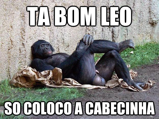 ta bom leo so coloco a cabecinha - ta bom leo so coloco a cabecinha  Hater Monkey