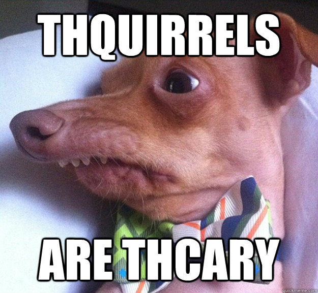 Thquirrels Are thcary - Thquirrels Are thcary  Larry the Dog