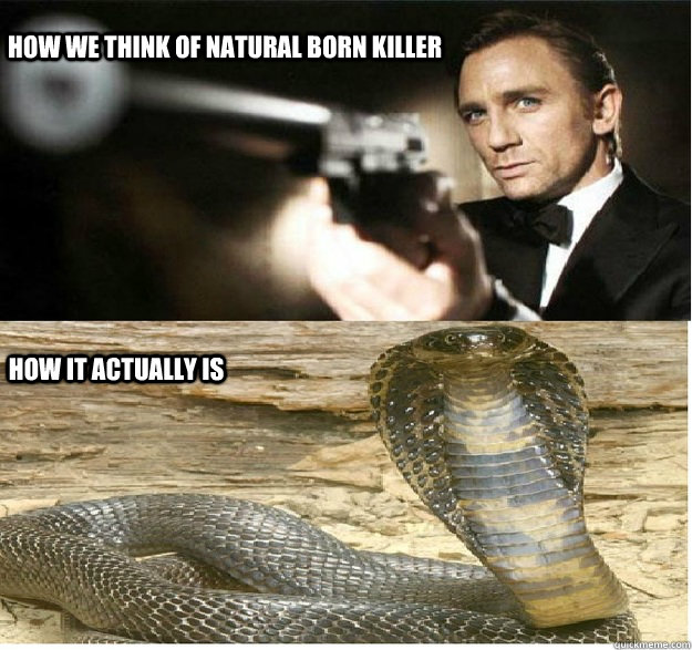HOW WE THINK OF NATURAL BORN KILLER HOW IT ACTUALLY IS - HOW WE THINK OF NATURAL BORN KILLER HOW IT ACTUALLY IS  Misc
