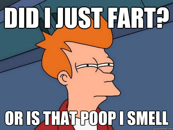 DID I JUST FART? OR IS THAT POOP I SMELL  Futurama Fry