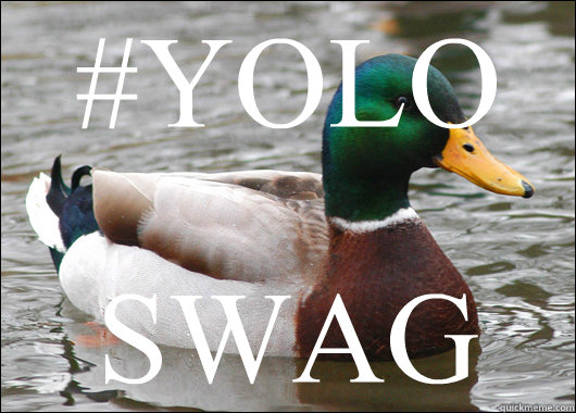 #YOLO SWAG  Actual Advice Mallard