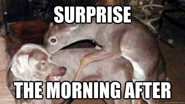 surprise the morning after  