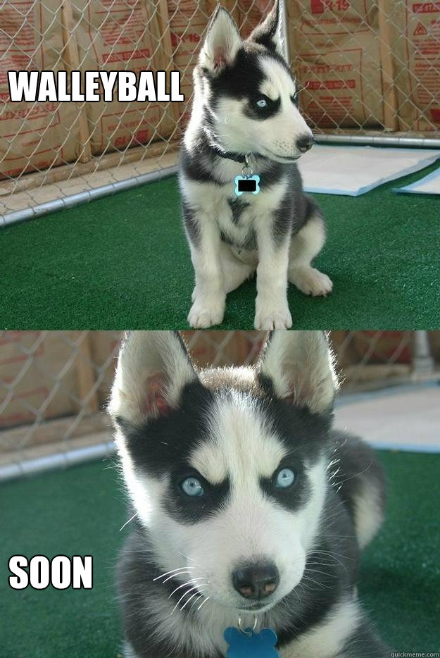 Walleyball soon  Insanity puppy