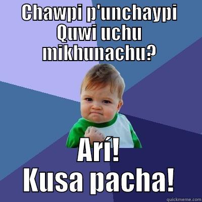 CHAWPI P'UNCHAYPI QUWI UCHU MIKHUNACHU? ARÍ! KUSA PACHA! Success Kid