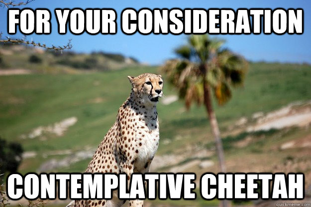 For your consideration Contemplative Cheetah - For your consideration Contemplative Cheetah  Contemplative Cheetah