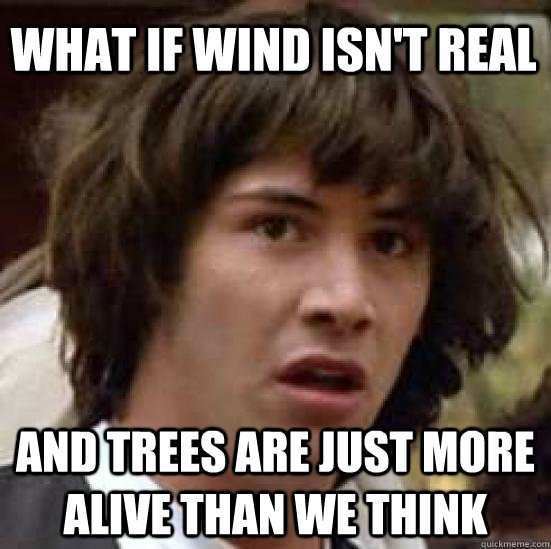 What if wind isn't real and trees are just more alive than we think  conspiracy keanu