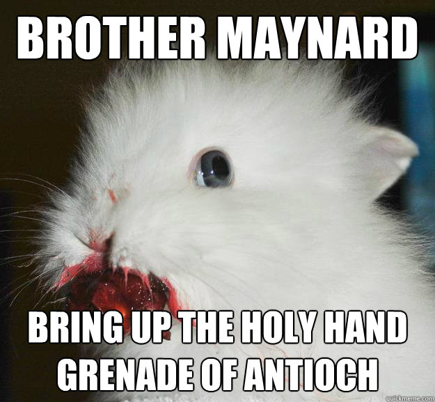 brother maynard bring up the holy hand grenade of antioch  Murder Bunny