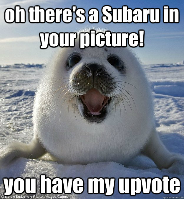 oh there's a Subaru in your picture! you have my upvote  Easily Pleased Seal