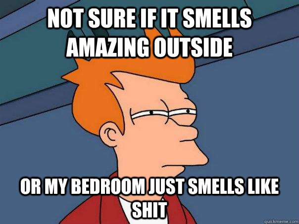 Not sure if it smells amazing outside Or my bedroom just smells like shit  Futurama Fry