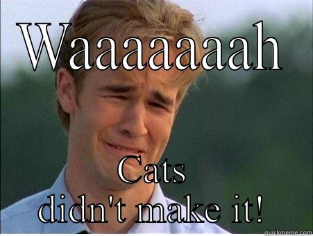 WAAAAAAAH CATS DIDN'T MAKE IT! 1990s Problems