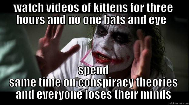 WATCH VIDEOS OF KITTENS FOR THREE HOURS AND NO ONE BATS AND EYE   SPEND SAME TIME ON CONSPIRACY THEORIES AND EVERYONE LOSES THEIR MINDS Joker Mind Loss