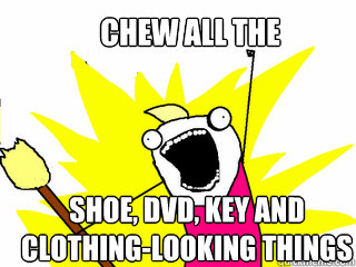 CHEW ALL the shoe, DVD, key and clothing-looking things   All The Things