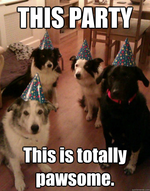 THIS PARTY This is totally pawsome.  