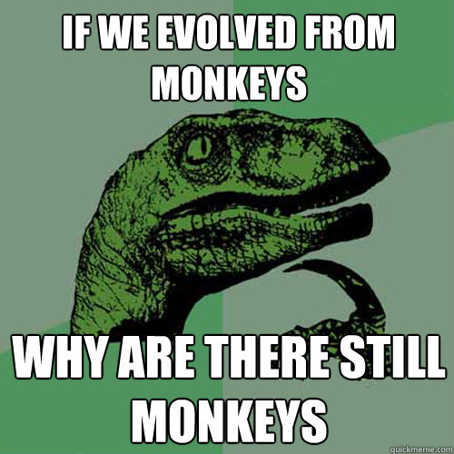 If we evolved from monkeys why are there still monkeys  Philosoraptor