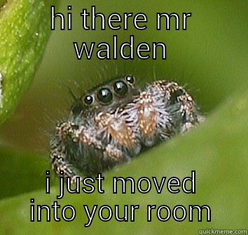 HI THERE MR WALDEN I JUST MOVED INTO YOUR ROOM Misunderstood Spider