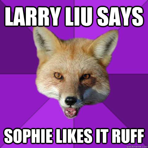 larry liu says sophie likes it ruff  Forensics Fox
