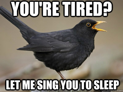 You're tired? Let me sing you to sleep  