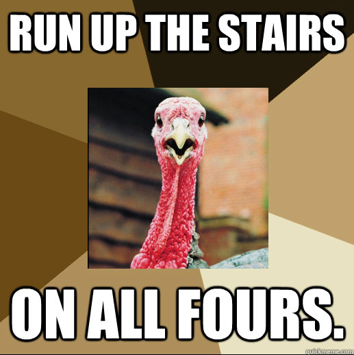 Run up the stairs On all fours. - Run up the stairs On all fours.  Quirky Turkey