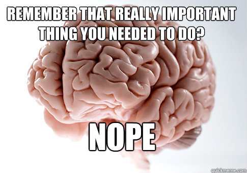 REMEMBER THAT REALLY IMPORTANT THING YOU NEEDED TO DO? NOPE   Scumbag Brain