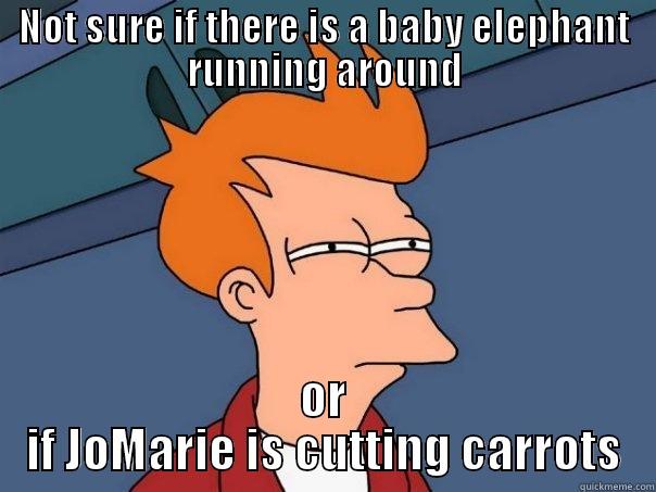 NOT SURE IF THERE IS A BABY ELEPHANT RUNNING AROUND OR IF JOMARIE IS CUTTING CARROTS Futurama Fry