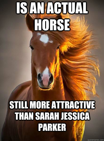 Is an actual horse Still more attractive than Sarah Jessica Parker - Is an actual horse Still more attractive than Sarah Jessica Parker  Ridiculously Photogenic Horse