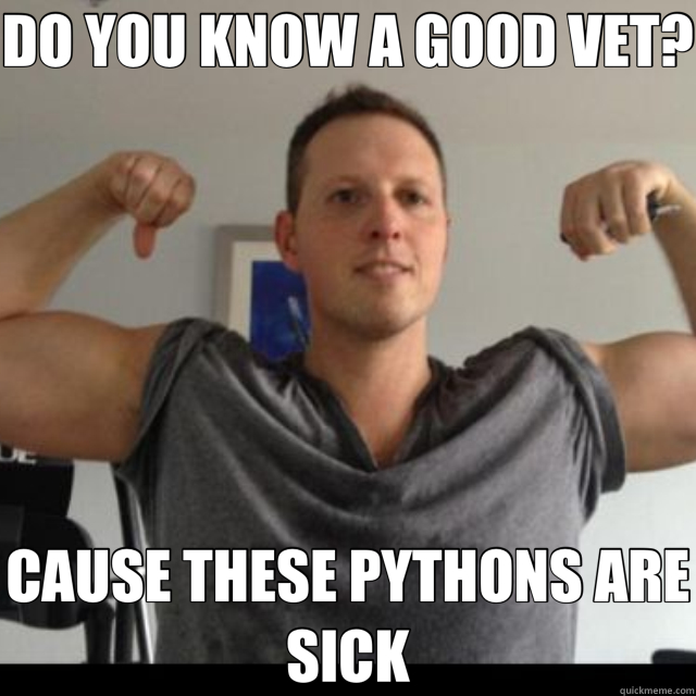 DO YOU KNOW A GOOD VET? CAUSE THESE PYTHONS ARE SICK  