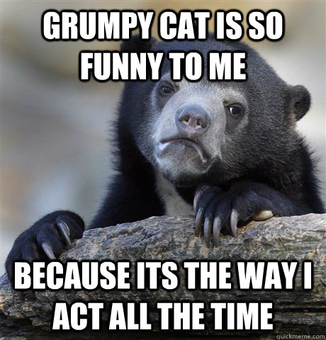 grumpy cat is so funny to me because its the way i act all the time - grumpy cat is so funny to me because its the way i act all the time  Confession Bear