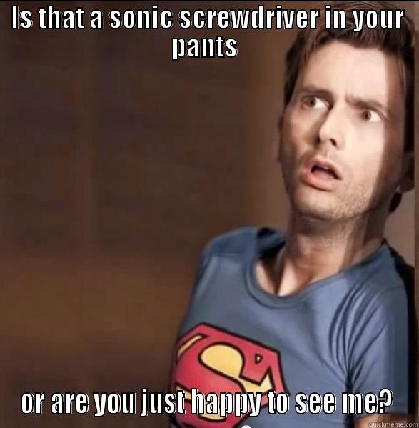 IS THAT A SONIC SCREWDRIVER IN YOUR PANTS  OR ARE YOU JUST HAPPY TO SEE ME? Misc