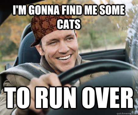 i'm gonna find me some cats to run over - i'm gonna find me some cats to run over  SCUMBAG DRIVER