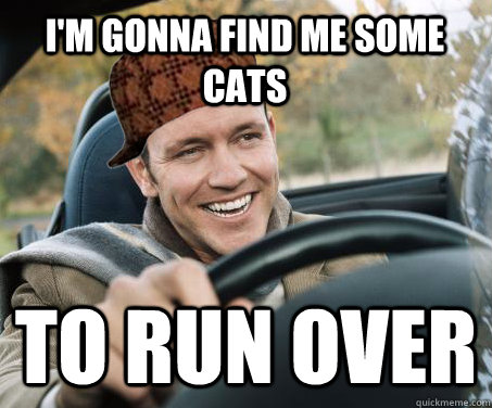 i'm gonna find me some cats to run over  SCUMBAG DRIVER