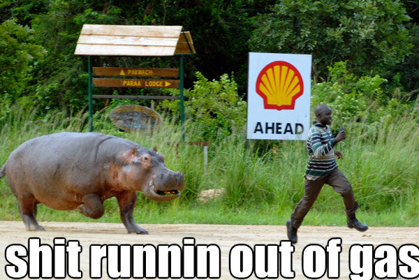 shit runnin out of gas
  - shit runnin out of gas
   Meanwhile in africa