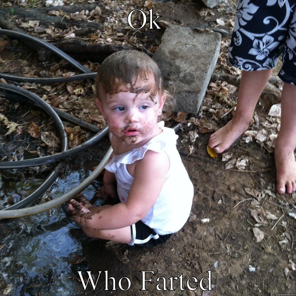 OK WHO FARTED Misc